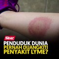 Penduduk dunia pernah dijangkiti penyakit Lyme?
