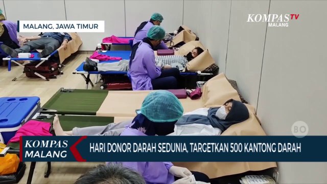 Peringatan Hari Donor Darah Sedunia, Kumpulkan 500 Kantong Darah Dalam Sehari