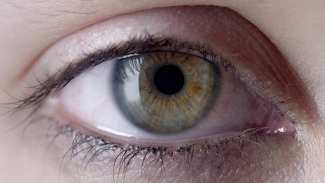 Nymphomaniac - Joe und ihre Liebhaber im ersten Trailer