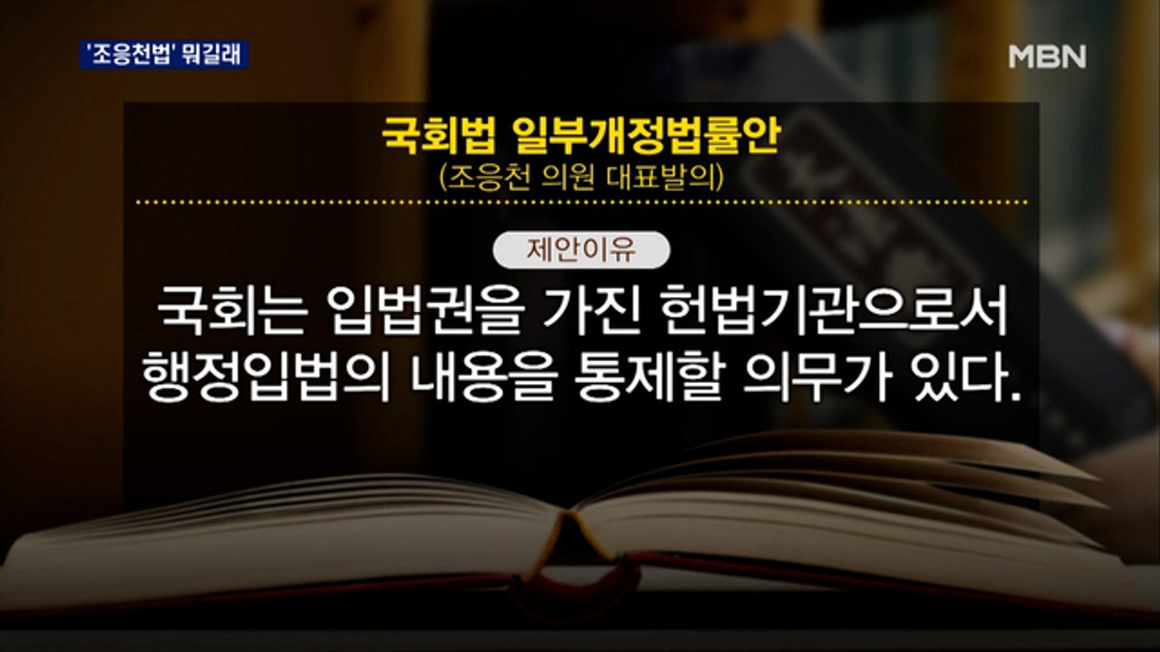 '조응천법' 뭐길래…"국힘도 과거 찬성" vs "문재인 정부 때도 '시행령 정치'"