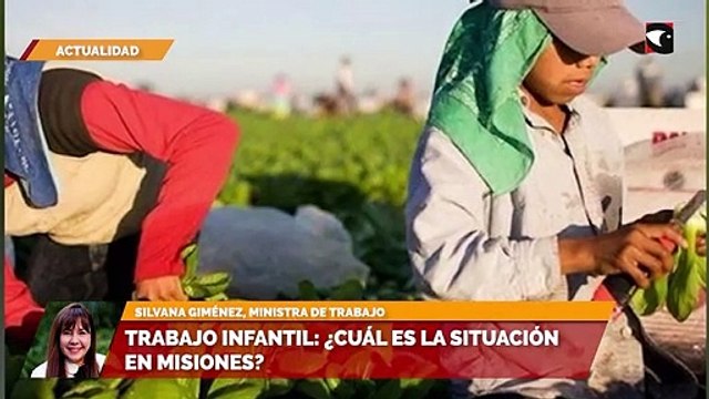 Trabajo infantil cuál es la situación en Misiones