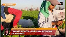 Trabajo infantil cuál es la situación en Misiones
