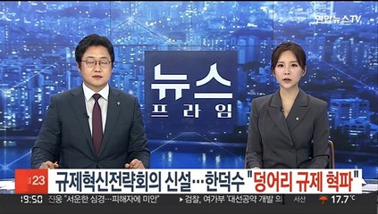 대통령 주재 규제혁신회의 신설…한덕수 "덩어리 규제 혁파"