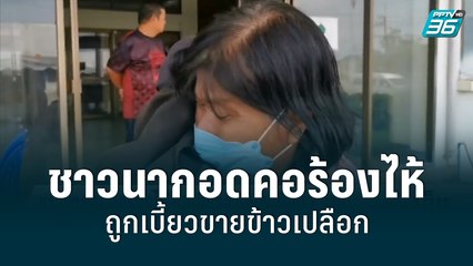 ชาวนากอดคอร้องไห้ ขายข้าวเปลือกถูกเบี้ยวจ่ายเงินเกือบ 7ล้าน  | เข้มข่าวเย็น | 14 มิ.ย. 2565