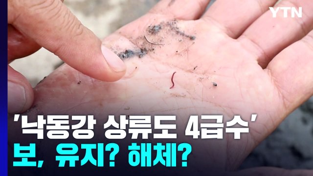 [뉴있저] 상류도 4급수' 낙동강 실태와 보 미래는? / YTN