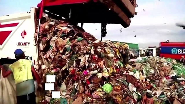 Una foresta di mangrovie ha preso il posto della discarica più grande del Brasile