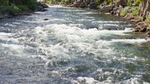 Sigue alerta por río Bogotá: autoridades continuarán monitoreo del afluente