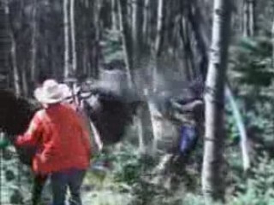 Horse Kicks  Two Guys  In The Chest