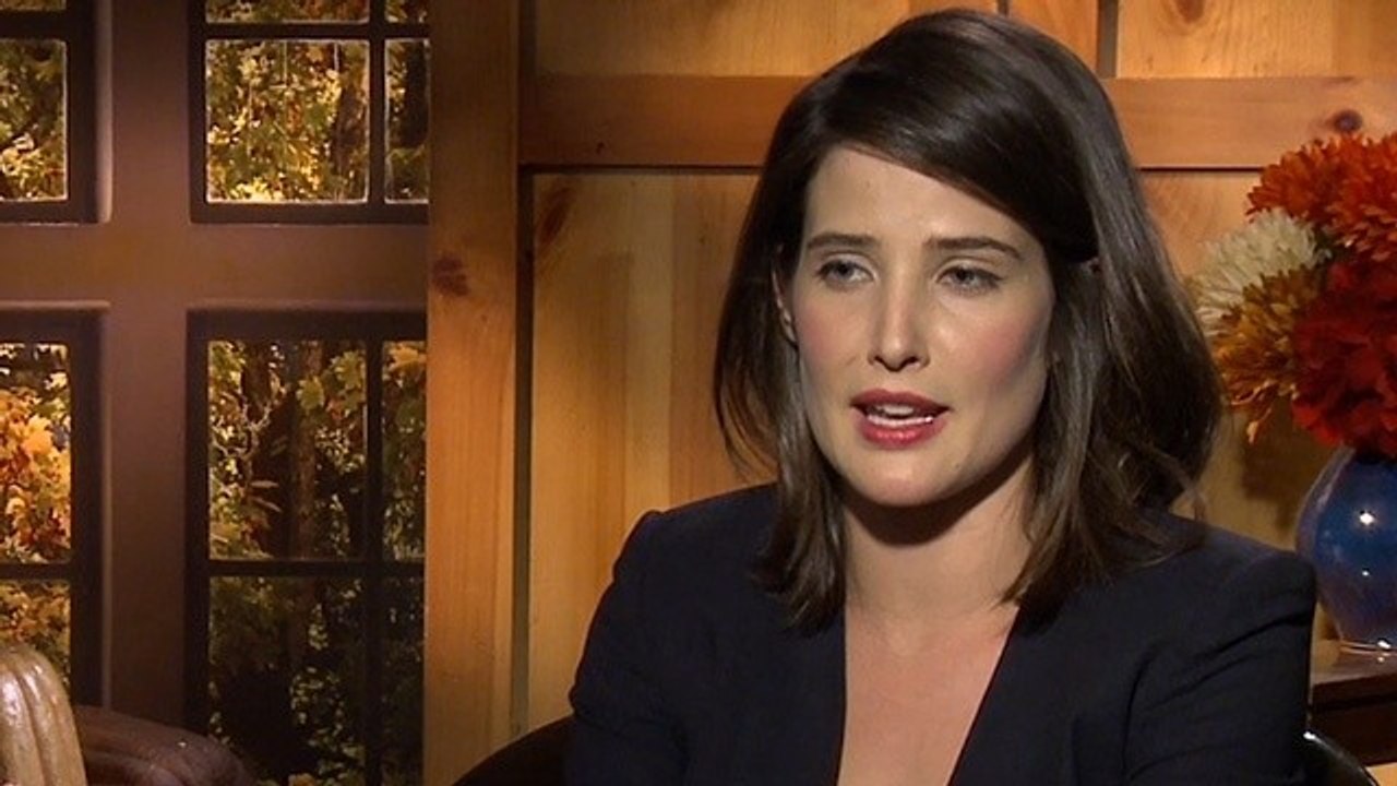 Der Lieferheld - Cobie Smulders im Interview