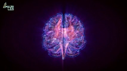 New Study Finds the Human Brain Runs Much Hotter Than We Thought