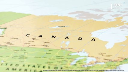 Ce coeur de baleine de 200 kilos a été parfaitement préservé par des scientifiques