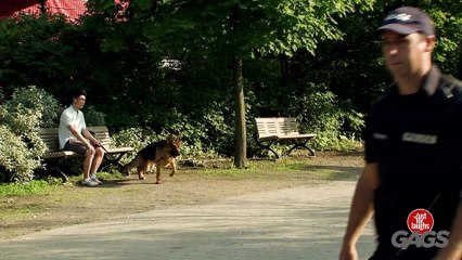 Enough is enough! - Just For Laughs Gags