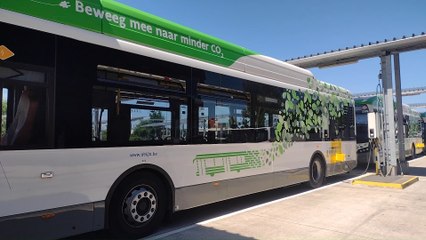 De Lijn présente le nouveau look de ses bus électriques