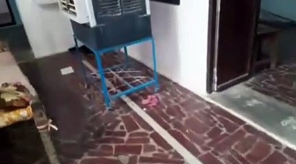 चोरों ने एक रात में तोड़े पांच घरों के ताले, लाखों की नगदी व जेवरात चुराए