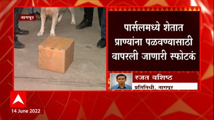Nagpur :  नागपूरच्या जनरल पोस्ट ऑफिसमध्ये स्फोट, वर्ध्यातील देवळीसाठी पाठवलेल्या पार्सलमध्ये स्फोटक