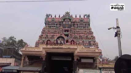 நெல்லையப்பர் கோயில்; சந்தன தைலம் தயாரிக்கும் பணி துவக்கம்!