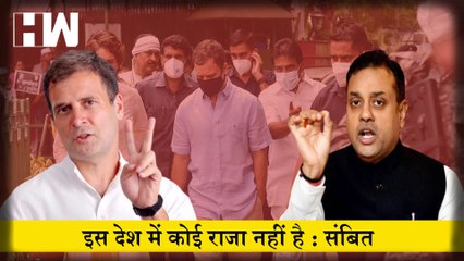 Rahul Gandhi पर बोले Sambit Patra, इस देश में कोई राजा नहीं है I National Herald case