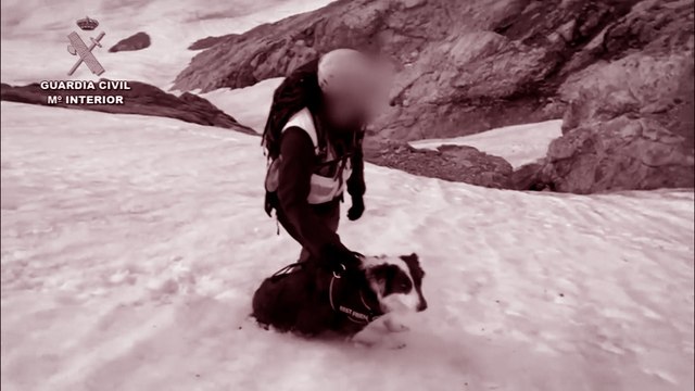 La Guardia Civil rescata un perro atrapado en Picos de Europa