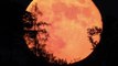 June's Strawberry Moon to Light Up the Night Sky This Week