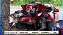 ¡Leñazo! Tres heridos, deja brutal impacto con árbol en carretera de SPS a Puerto Cortés