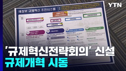 대통령 주재 '규제혁신전략회의' 만든다...규제개혁 본격 시동 / YTN