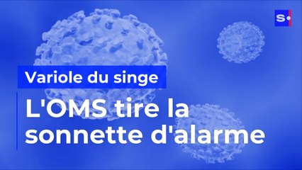 Variole du singe : l'OMS sonne l'alarme