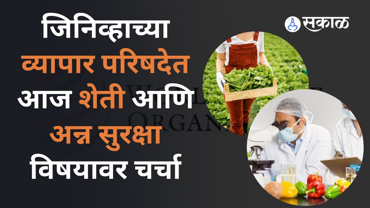 जिनिव्हाची व्यापार परिषद शेतकऱ्यांसाठी का महत्वाची?| World Trade Organization| Geneva| Sakal
