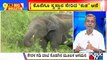 Big Bulletin | Elephant Kusha Returns To Dubare Elephant Camp; Joins Herd | HR Ranganath | June 14