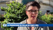 À LA UNE : Les fortes chaleurs sont arrivés dans la Loire / C'est l'heure des débats de l'entre-deux-tours / Des capteurs de pollen à Saint-Etienne / Un bus du glaucome avec des dépistages gratuits