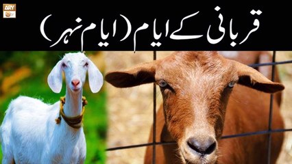 Qurbani Ke Ayam, Ayam-e-Nehar - Latest Bayan 2022 - Islamic Knowledge