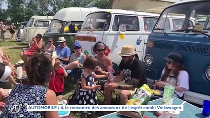 AUTOMOBILE / A la rencontre des amoureux de l'esprit combi Volkswagen