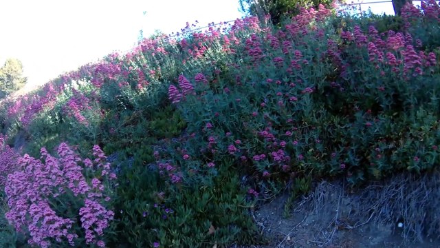 Baie du Sud, San José, Santa Clara/ San Jose, Sunnyvale and Santa Clara, CA/