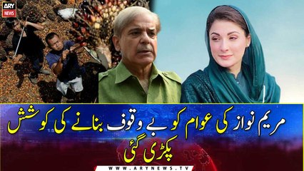 Maryam Nawaz's attempt got caught to fool the people