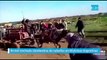 Brutal cinchada clandestina de caballos en Malvinas Argentinas