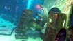 Un terrifiant requin-marteau dévore une raie dans un aquarium