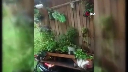 Meksika’da uyuşturucu karteline operasyon: 10 ölü