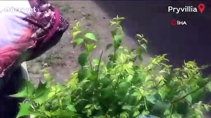 Ukraynalı siviller Rus bombardımanı altında tahliye edildi