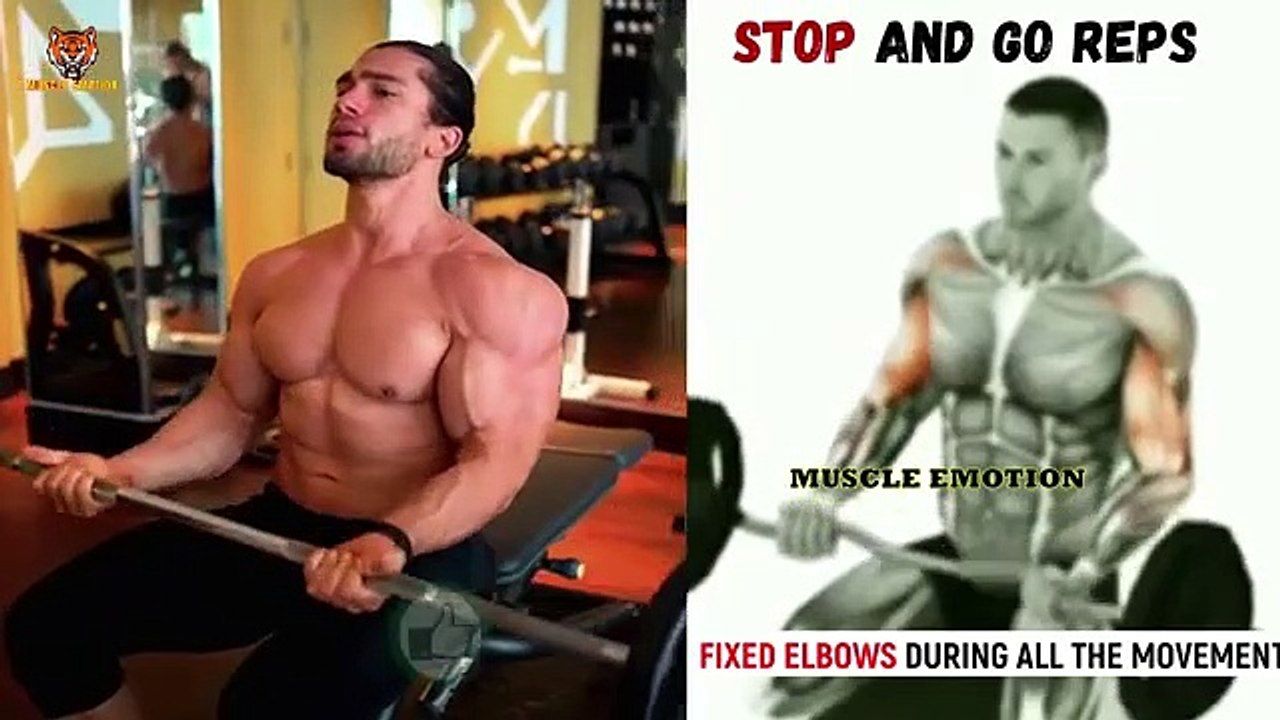 13 BICEPS EXERCISES WITH BARBELL ONLY / Musculation biceps avec barre