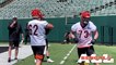 Cincinnati Bengals practice clips 6-14-22