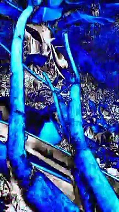 6#Compilation apa yang terjadi... kucing lucu dan imut...