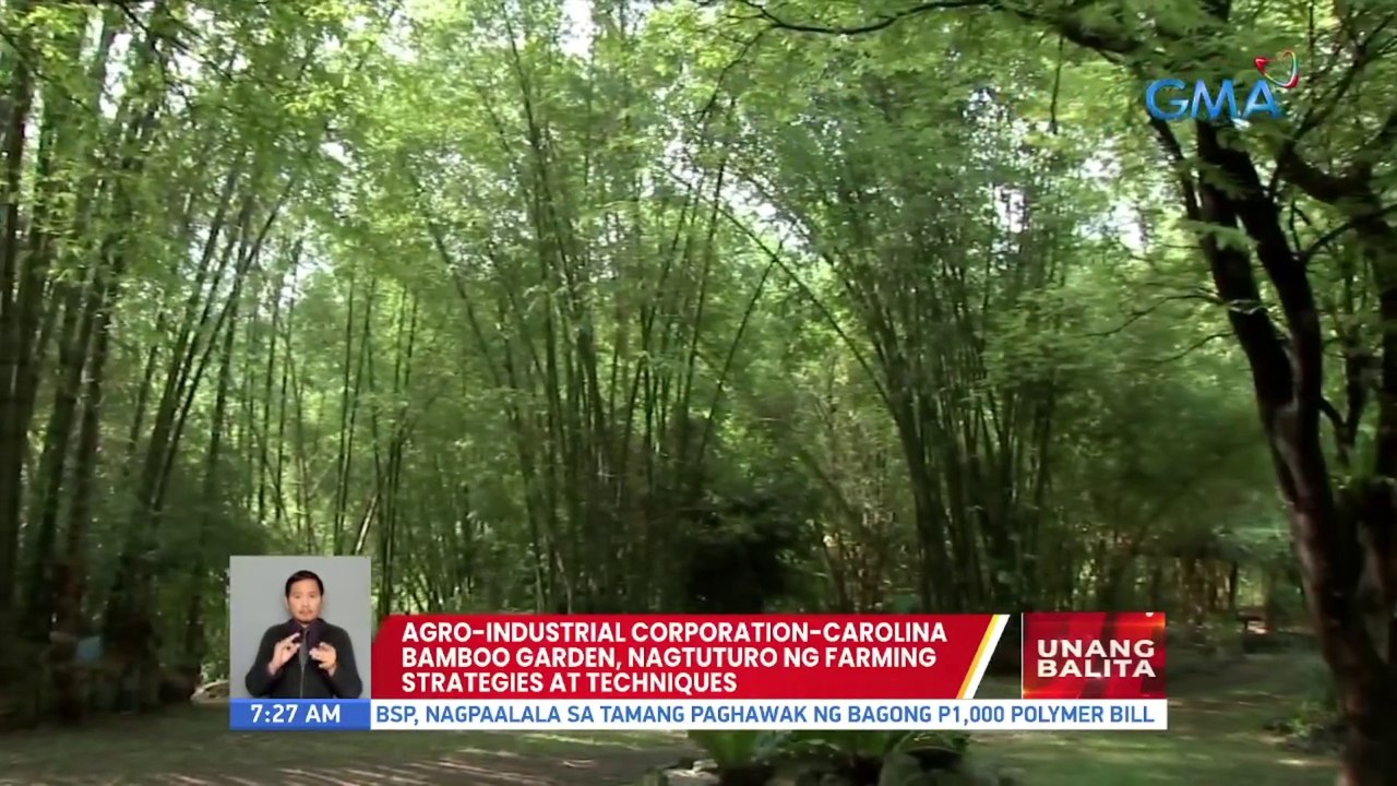 Agro-industrial Corporation-Carolina Bamboo Garden, nagtuturo ng farming strategies at techniques | UB