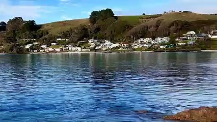 Whales sighted at Boat Harbour - The Advocate