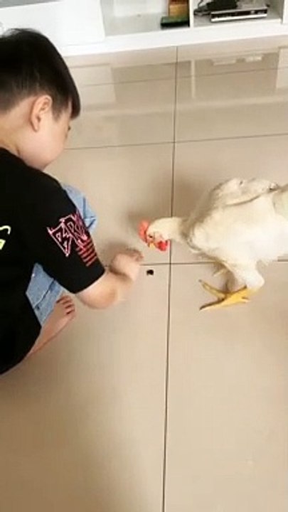 That Chiken Was So Quick 