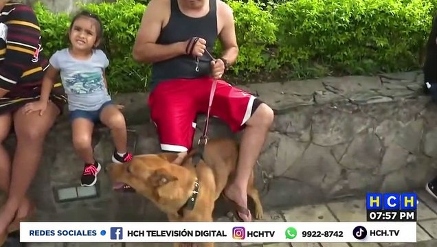 Se abre debate en el país por tenencia de perros de razas agresivas