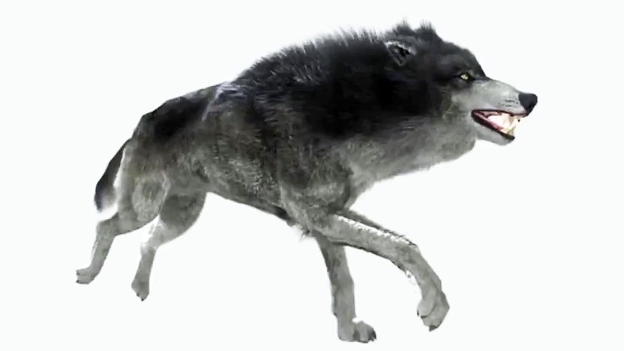 NVIDIA GameWorks - Video mit Kommentar zum HairWorks-Feature