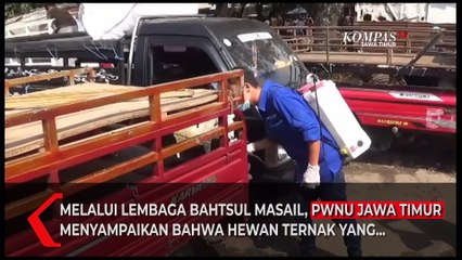PWNU Jatim Sebut Hewan Suspek PMK Tidak Sah Untuk Kurban