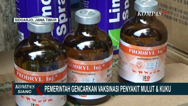 Pemerintah Gencarkan Vaksinasi PMK untuk Hewan Ternak Demi Tekan Penyebaran