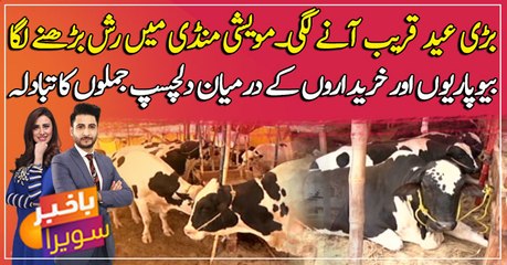 Check out  the Most Expensive Bulls of 'KARACHI Cattle Market'