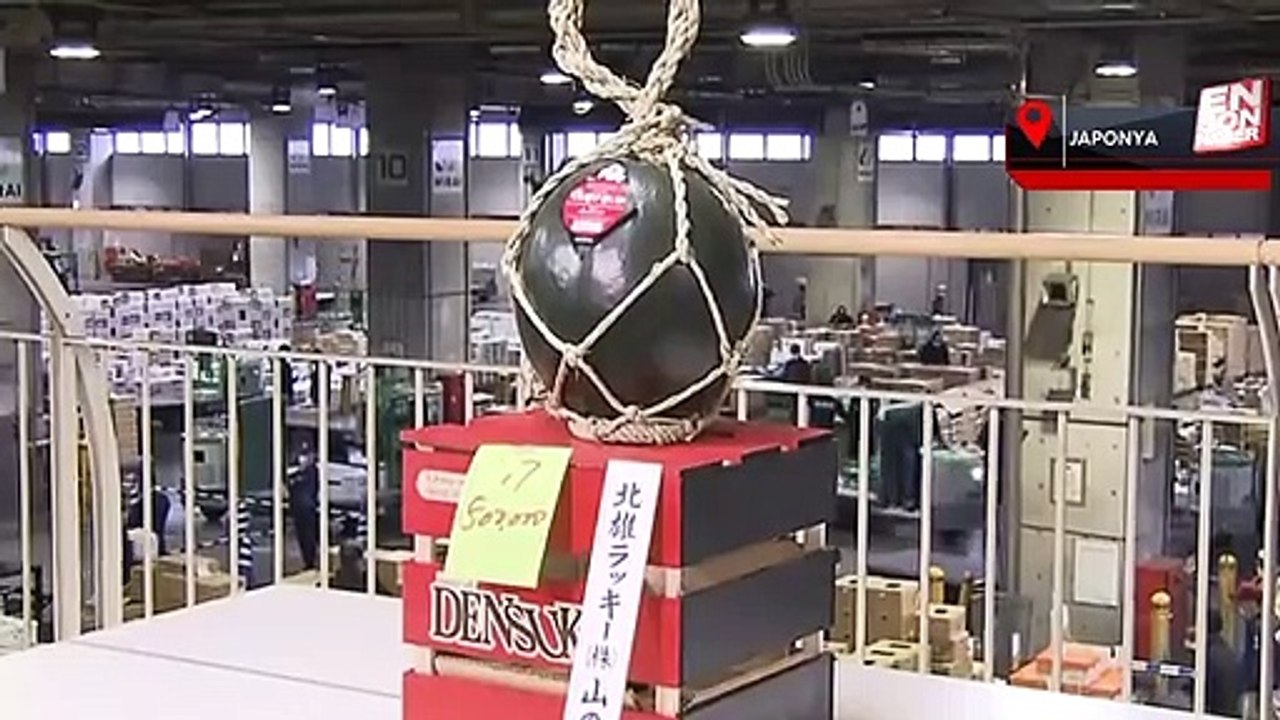 Japonya'da Densuke karpuzu 4 bin 500 dolara satıldı