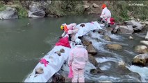 Perú | Toneladas de zinc vertidas en un río de Lima matan a miles de peces